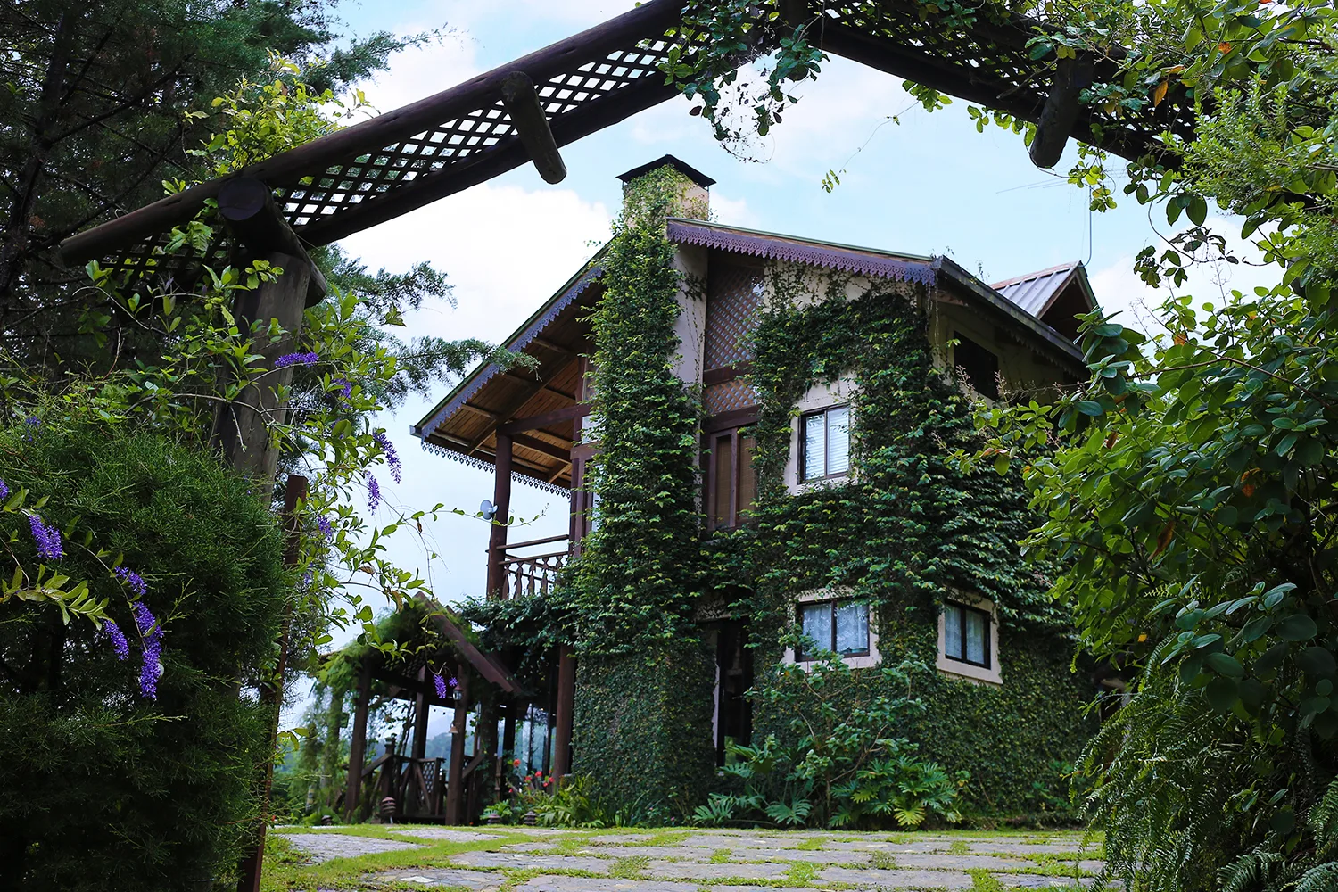 Casa cubierta de enredaderas entre vegetación en Quintas del Bosque